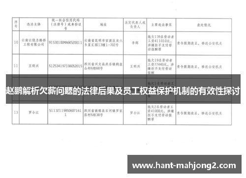 赵鹏解析欠薪问题的法律后果及员工权益保护机制的有效性探讨